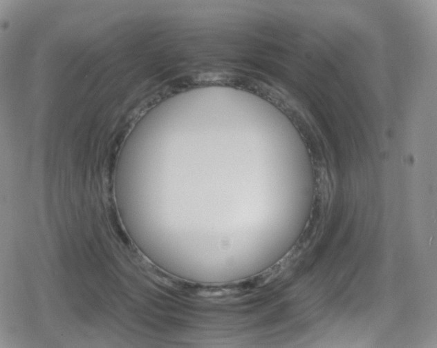 X0000080730557200612150906