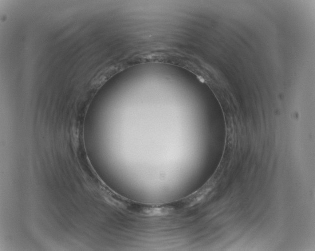 X0000080730558200612150906