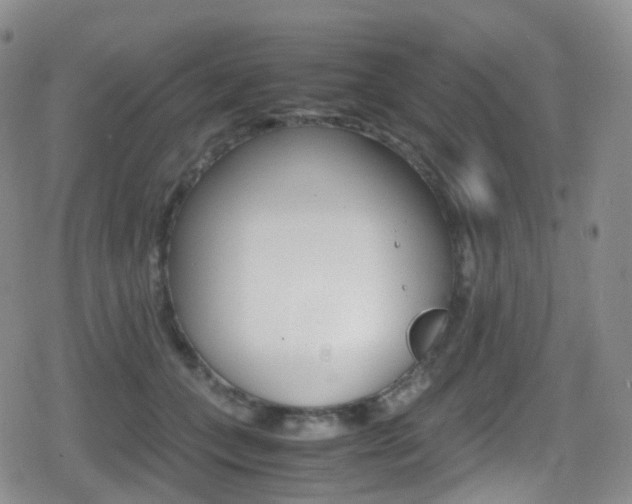 X0000080730559200612150906