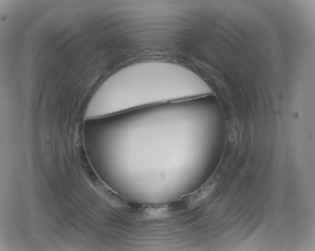 X0000080730560200612150906