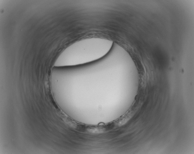 X0000080730561200612150906