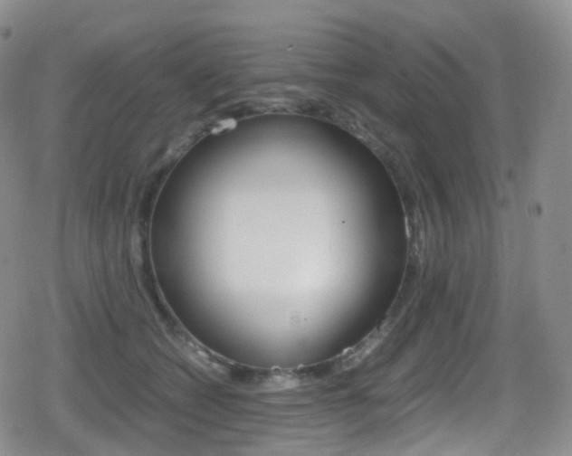 X0000080730562200612150906