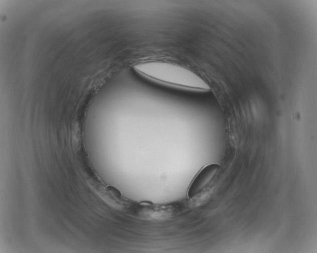 X0000080730563200612150906