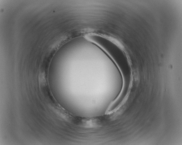 X0000080730564200612150906