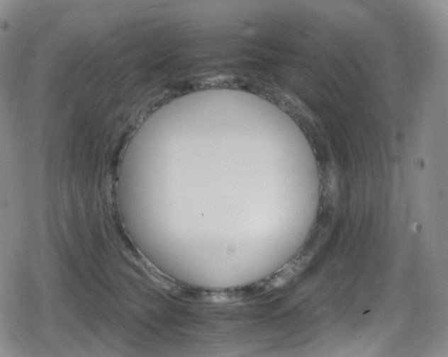 X0000080730565200612150906