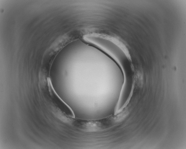 X0000080730566200612150906