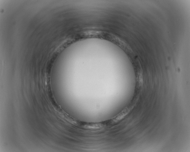 X0000080730567200612150906