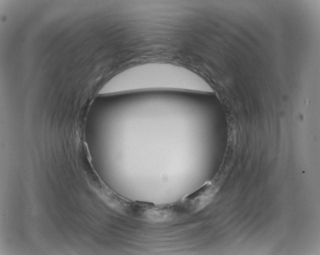 X0000080730568200612150906