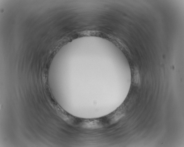 X0000080730569200612150906