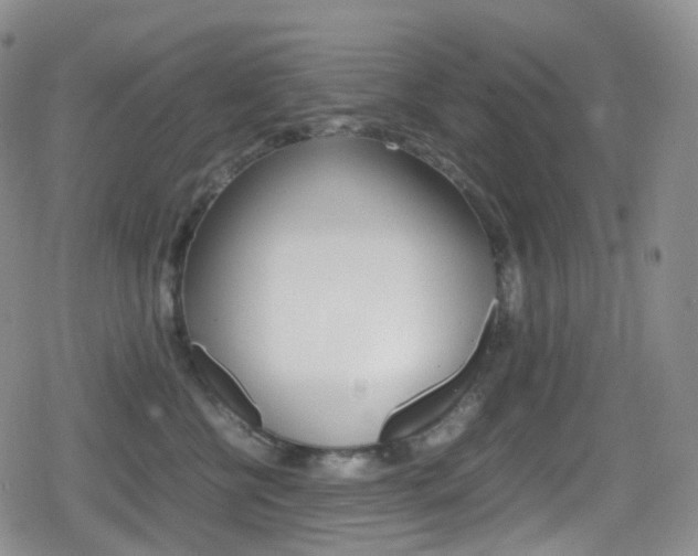 X0000080730570200612150906