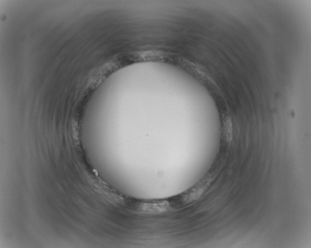 X0000080730571200612150906