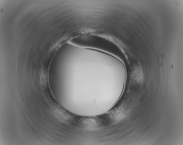 X0000080730572200612150906