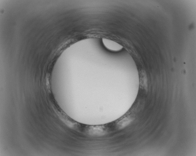 X0000080730573200612150906