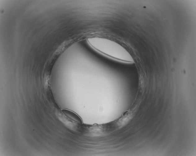 X0000080730574200612150906