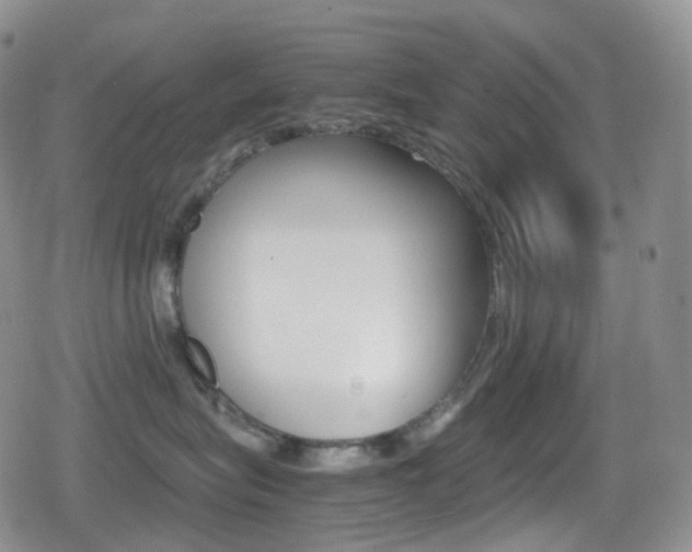 X0000080730575200612150906