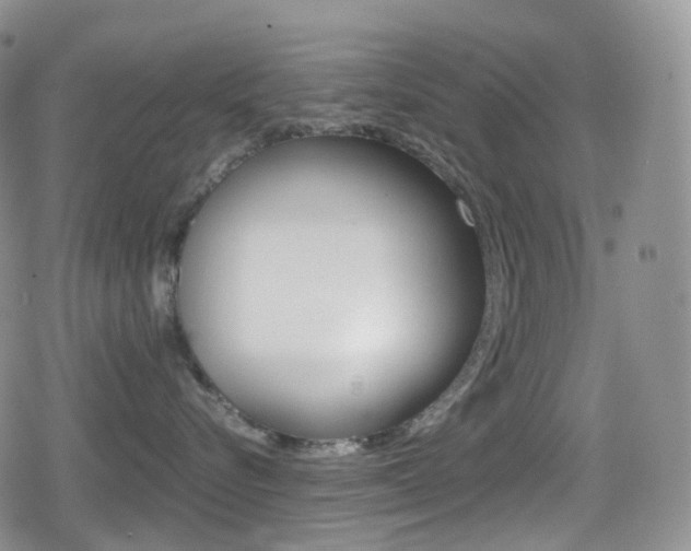 X0000080730576200612150906