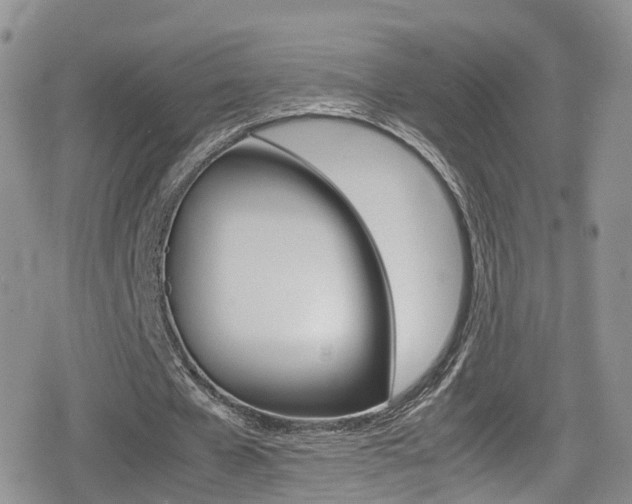 X0000080730577200612150905