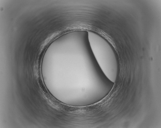 X0000080730578200612150905