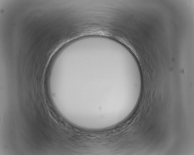 X0000080730579200612150905