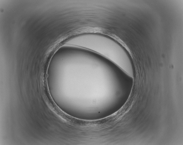 X0000080730581200612150905