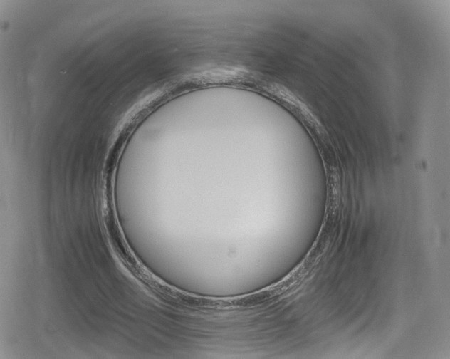 X0000080730582200612150905