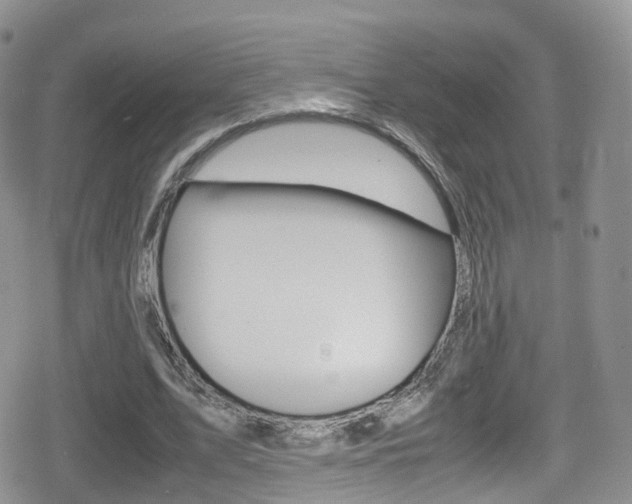 X0000080730583200612150905