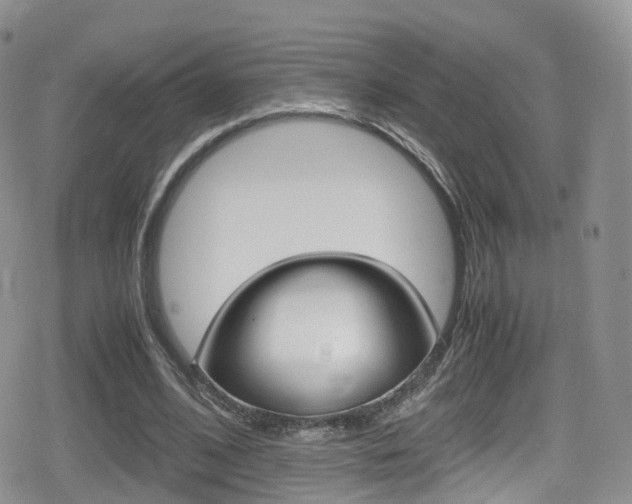 X0000080730584200612150905