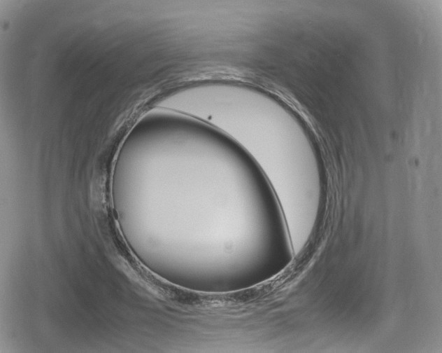 X0000080730585200612150905