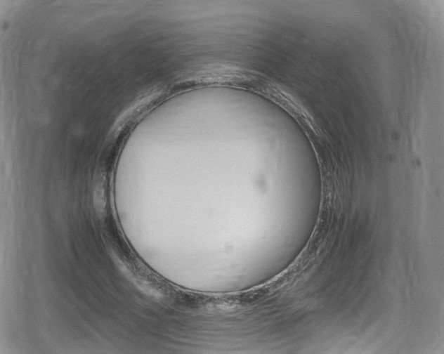 X0000080730586200612150905