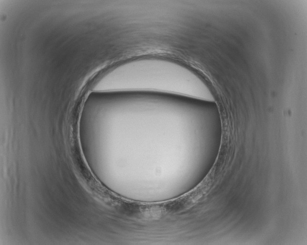 X0000080730587200612150905