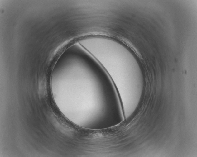 X0000080730588200612150905