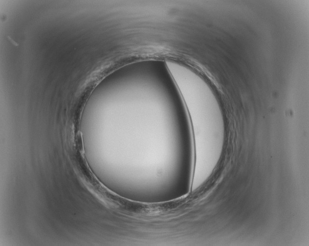 X0000080730589200612150905