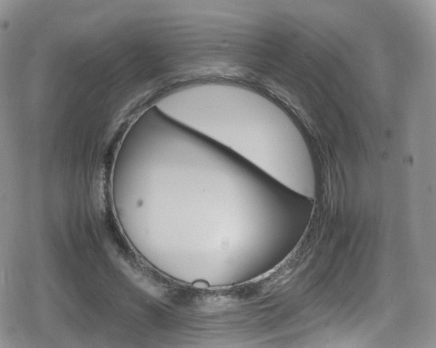 X0000080730590200612150905