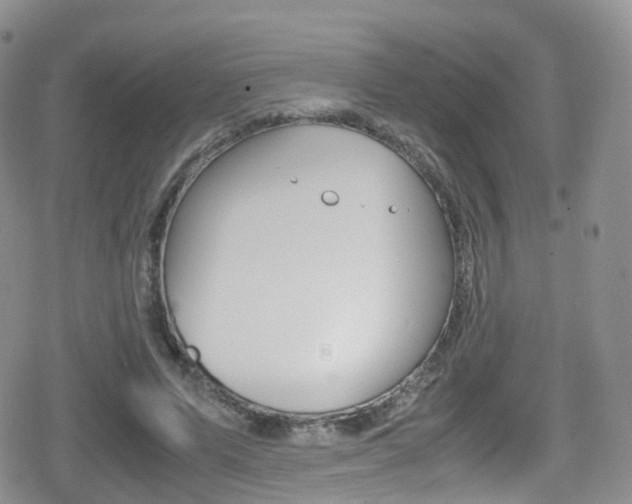 X0000080730591200612150905