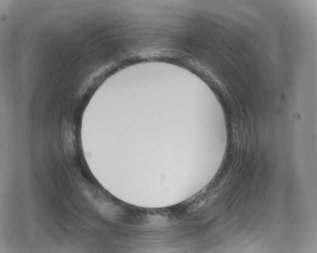 X0000080730592200612150905