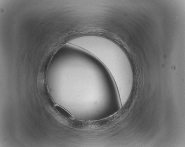 X0000080730593200612150905