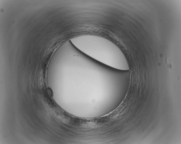 X0000080730594200612150905