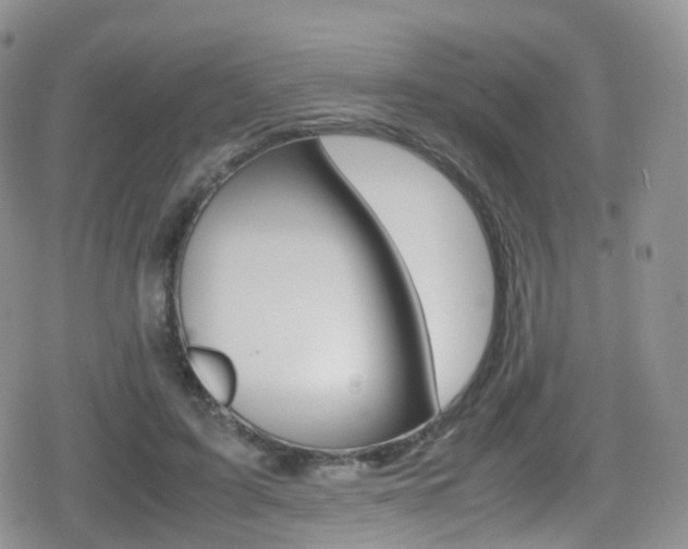 X0000080730595200612150905