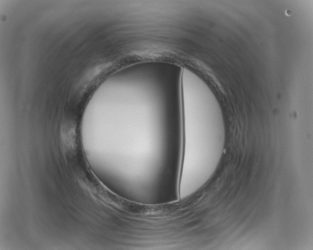 X0000080730596200612150905