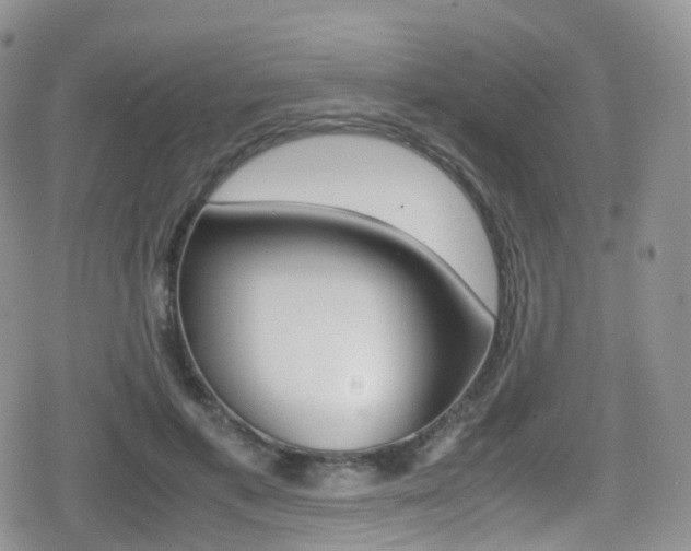 X0000080730597200612150905