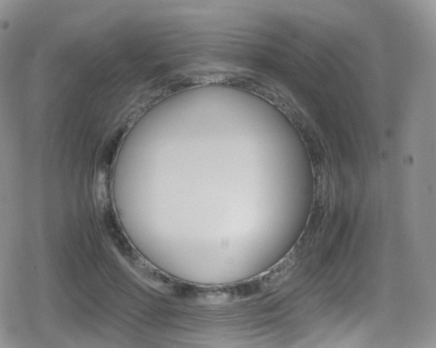 X0000080730598200612150905