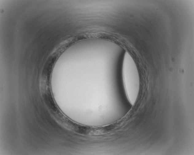 X0000080730599200612150905