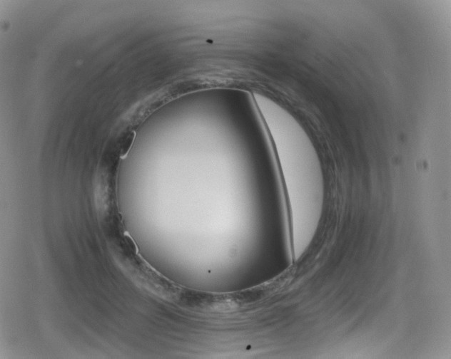 X0000080730600200612150905