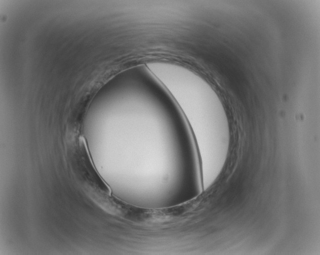 X0000080730601200612150905