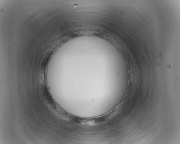 X0000080730602200612150905