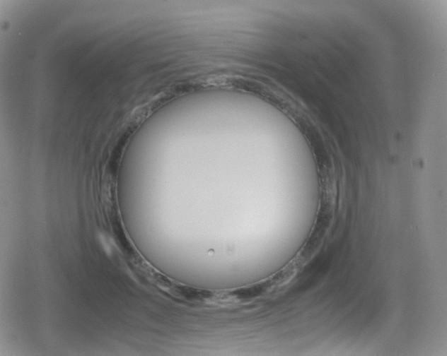 X0000080730603200612150905