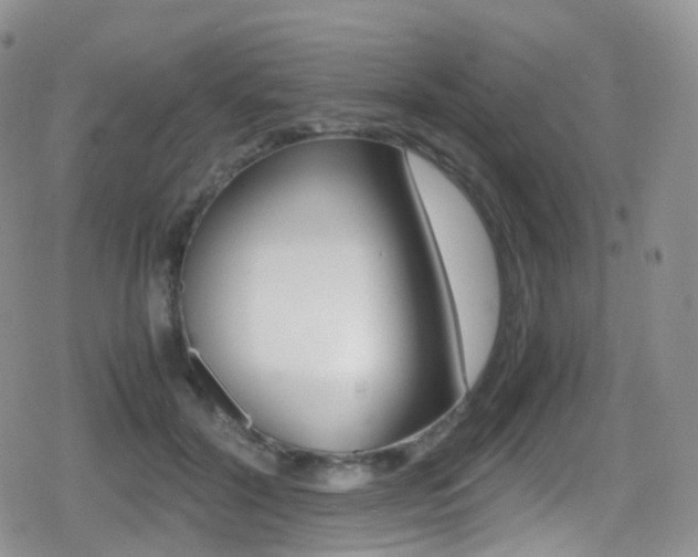 X0000080730604200612150905