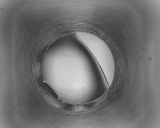 X0000080730605200612150905