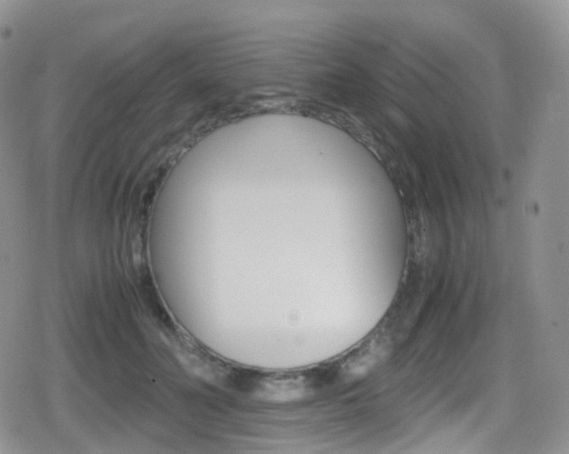 X0000080730606200612150905