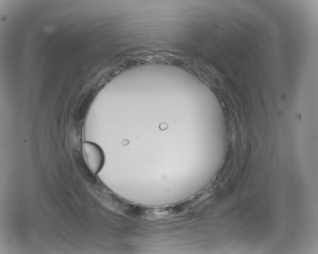 X0000080730607200612150905